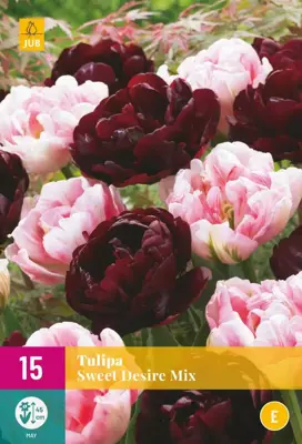 Tulipa Sweet Desire mix 15 tulpenbollen - afbeelding 1