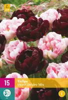 Tulipa Sweet Desire mix 15 tulpenbollen - afbeelding 1