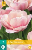 Tulipa tabledance 7 bloembollen - afbeelding 1