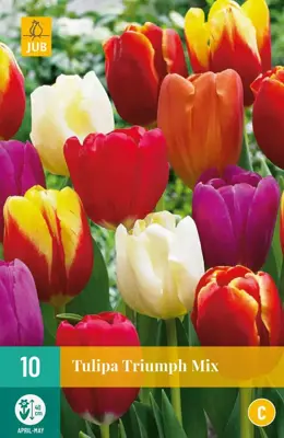 Tulipa Triumph mix 10 tulpenbollen - afbeelding 1