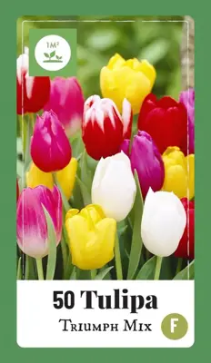 Tulipa Triumph mix 40 tulpenbollen - afbeelding 1