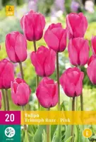 Tulipa Triumph roze 20 tulpenbollen - afbeelding 1