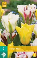 Tulipa viridiflora mix 7 bloembollen - afbeelding 1