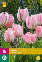 Tulpen double pink 15st - afbeelding 2