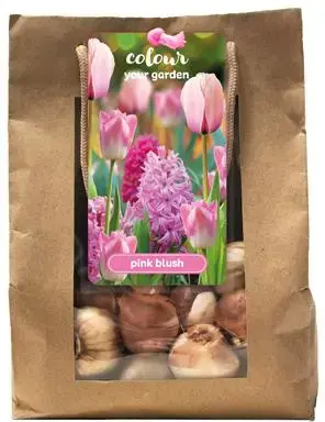 Tulpen, Hyacinten 'Pink blush' 25 stuks - afbeelding 1
