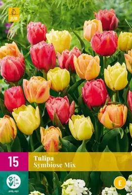 Tulpen Symbiose Mix 15 tulpenbollen - afbeelding 1