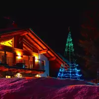 Twinkly Light Tree LED kerstverlichting Generation II 1000 lampjes 6 meter excl. paal multicolor - afbeelding 12