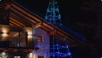 Twinkly Light Tree LED kerstverlichting Generation II 1000 lampjes 6 meter excl. paal multicolor - afbeelding 7