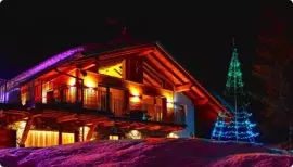 Twinkly Light Tree LED kerstverlichting Generation II 1000 lampjes 6 meter excl. paal multicolor - afbeelding 8