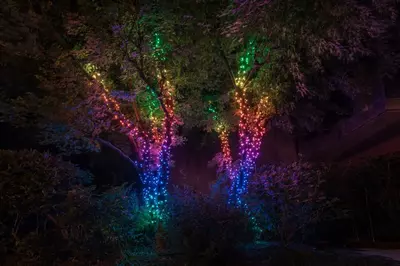 Twinkly Strings LED snoer kerstverlichting Generation II 100 lampjes 8 meter multicolor - afbeelding 15