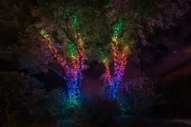 Twinkly Strings LED snoer kerstverlichting Generation II 400 lampjes 32 meter special edition - afbeelding 13