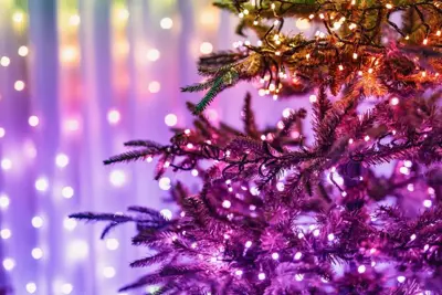 Twinkly Strings LED snoer kerstverlichting Generation II 400 lampjes 32 meter special edition - afbeelding 16
