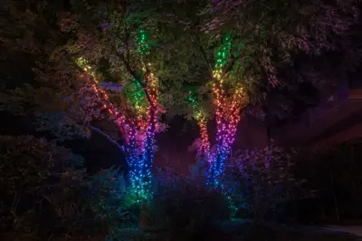 Twinkly Strings LED snoer kerstverlichting Generation II 600 lampjes 48 meter multicolor - afbeelding 11