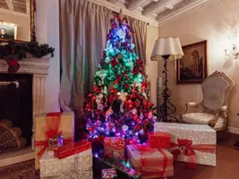 Twinkly Strings LED snoer kerstverlichting Generation II 600 lampjes 48 meter multicolor - afbeelding 7