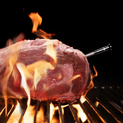 Typhur BBQ thermometer Sync One - afbeelding 4