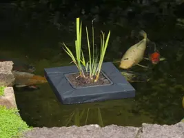 Ubbink Drijvende plantentas vierkant l35b35cm - afbeelding 4