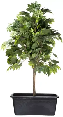 Ubbink Victoria quadro 3. jp cont. 150l - afbeelding 2