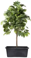 Ubbink Victoria quadro 3. jp cont. 150l - afbeelding 2