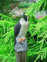 Ubbink Vijverdecoratie valk - afbeelding 2