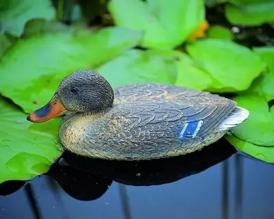 Ubbink Vijverdecoratie Wilde eend (vr) - afbeelding 2
