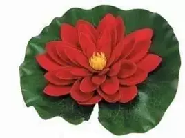 Ubbink Waterlelie 20cm rood - afbeelding 2