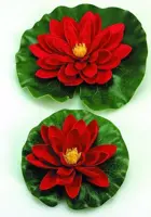 Ubbink Waterlelie 20cm rood - afbeelding 1