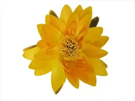 Ubbink Waterlelie grote bloem 16cm geel - afbeelding 1