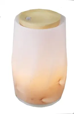 Ultransmit aroma diffuser luna 