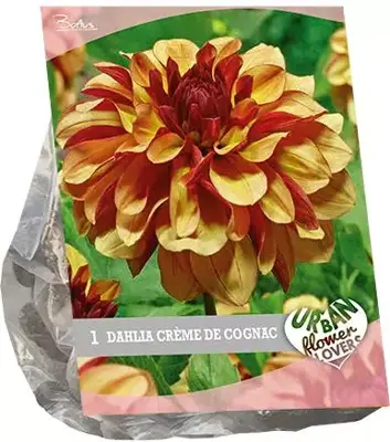 Urban Flowers - Crème de Cognac per 1 - afbeelding 1