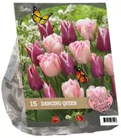 Urban flowers - dancing queen 15 stuks - afbeelding 1