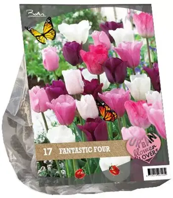 Urban flowers - fantastic four 17 stuks - afbeelding 1
