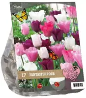 Urban flowers - fantastic four 17 stuks - afbeelding 1