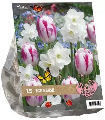 Urban flowers - ice blush 15 stuks - afbeelding 1