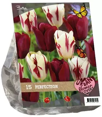 Urban flowers - perfection 15 stuks - afbeelding 1