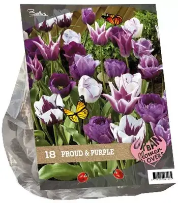Urban flowers - proud & purple 18 stuks - afbeelding 1