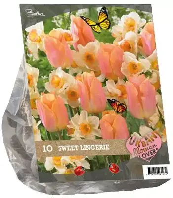 Urban flowers - sweet lingery 10 stuks - afbeelding 1