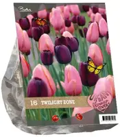 Urban flowers - twilight zone 16 stuks