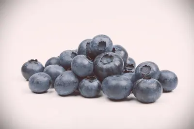 Vaccinium corymbosum 'Sunshine Blue' (Bosbes) fruitplant 50cm - afbeelding 12