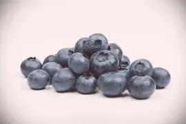 Vaccinium corymbosum 'Sunshine Blue' (Bosbes) fruitplant 50cm - afbeelding 12