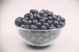 Vaccinium corymbosum 'Sunshine Blue' (Bosbes) fruitplant 50cm - afbeelding 14