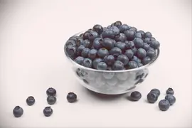 Vaccinium corymbosum 'Sunshine Blue' (Bosbes) fruitplant 50cm - afbeelding 15