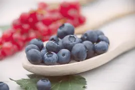 Vaccinium corymbosum 'Sunshine Blue' (Bosbes) fruitplant 50cm - afbeelding 38