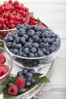 Vaccinium corymbosum 'Sunshine Blue' (Bosbes) fruitplant 50cm - afbeelding 27