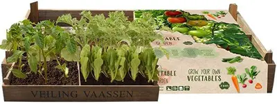 Vegetable Garden Crate – Jouw eigen groentetuin in een kist