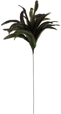 Veren 30 cm o/dr 75 cm groen