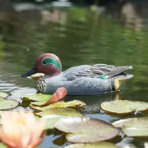 Vijver decoratie