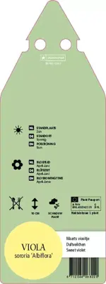 Viola Sororia Albiflora (Viooltje) - afbeelding 2