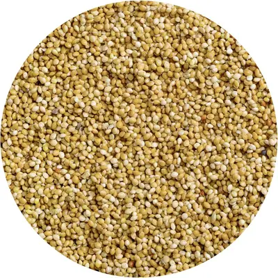 Vitakraft honingparels parkiet 20g - afbeelding 3