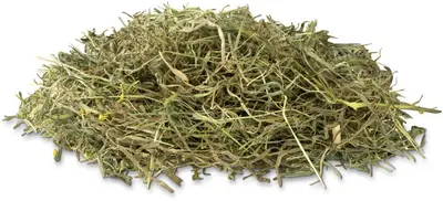 Vitakraft Hooi paardebloem 500 gr - afbeelding 3