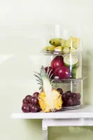 Vitis vinifera (Druif) - afbeelding 20
